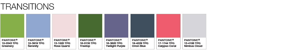 color palate