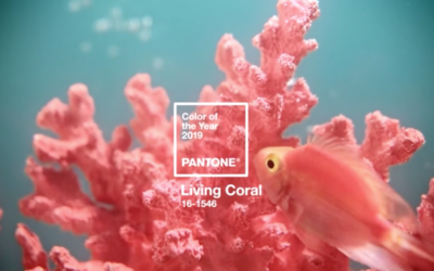 2019 Pantone Color of the Year