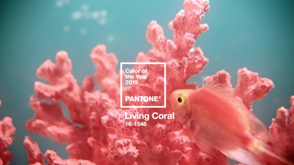 2019 Pantone Color of the Year