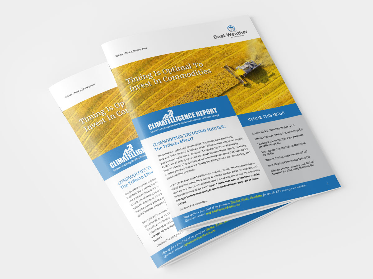 newsletter design