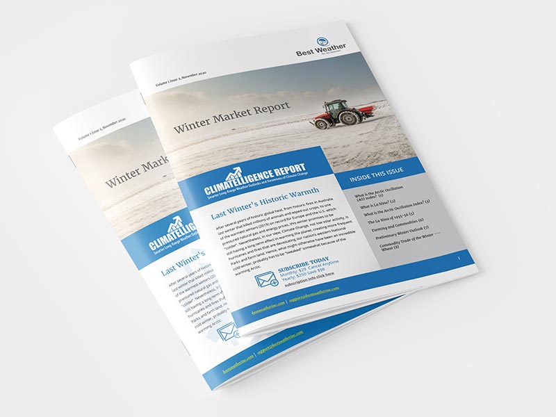 newsletter design